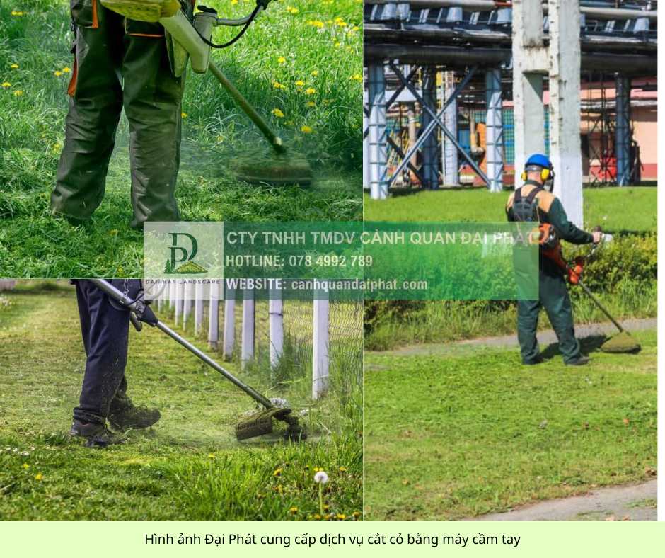 Dịch vụ chăm sóc cây xanh KCN Công nghệ cao TP.HCM