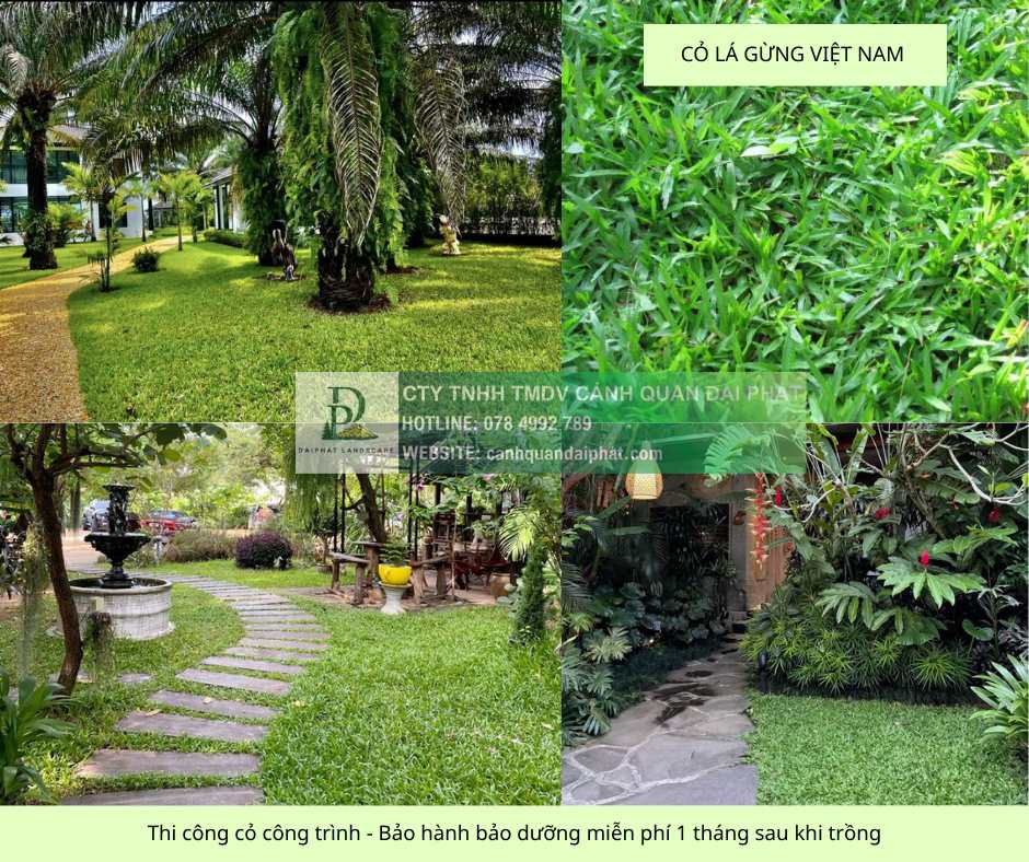 Thi công cây xanh – thảm cỏ công trình tại Đồng Nai, Bình Dương