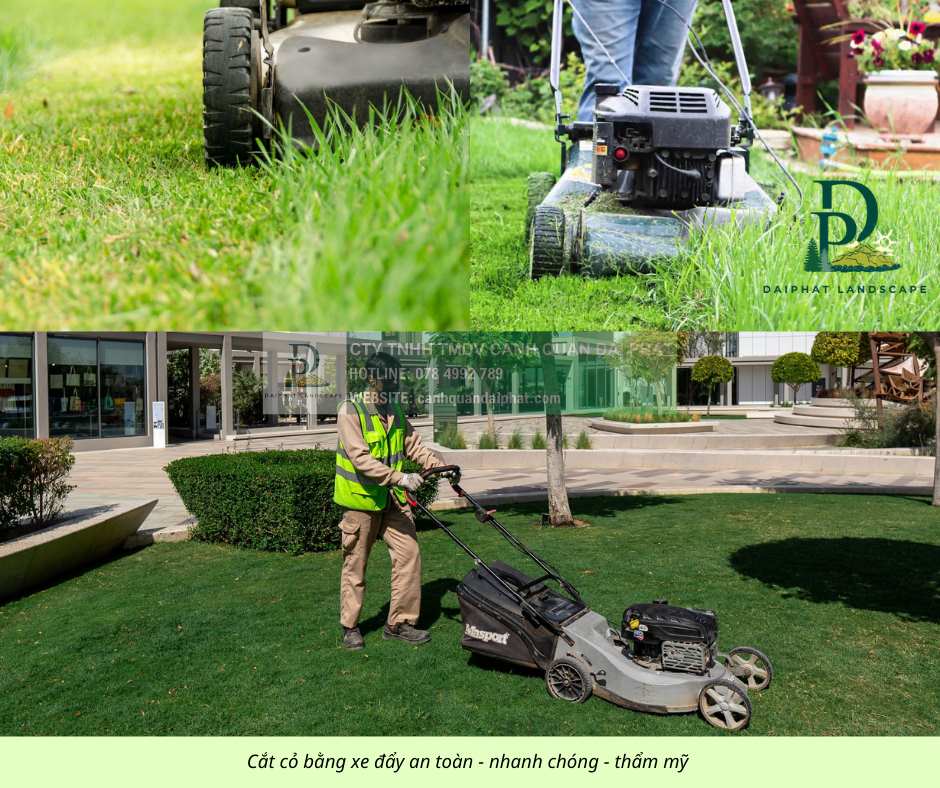 Dịch vụ cắt cỏ KCN Long Thành - Cưa cây định kỳ giá rẻ nhanh gọn