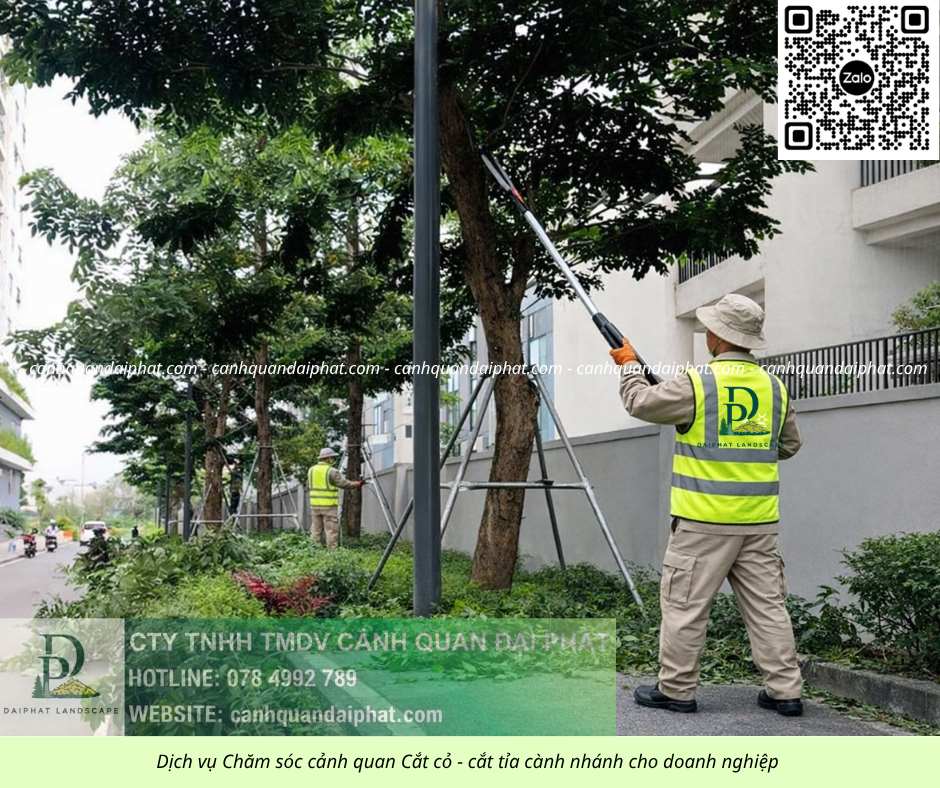 CHĂM SÓC CÂY XANH – CẮT CỎ ĐỊNH KỲ KCN NHƠN TRẠCH, ĐỒNG NAI