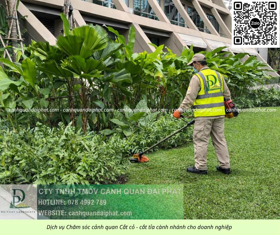 Cắt cỏ – Chăm sóc Cây xanh Nhà xưởng KCN An Phước, Đồng Nai
