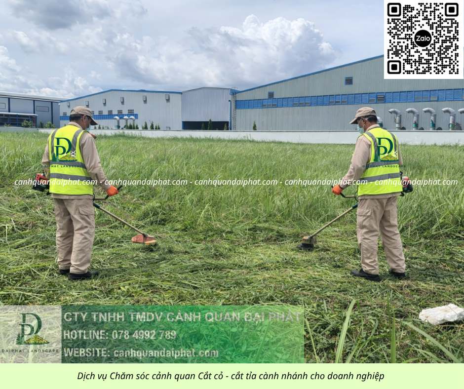 DỊCH VỤ CẮT CỎ – CẮT TỈA CÂY XANH ĐỒNG NAI
